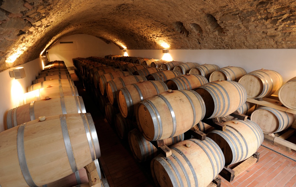 Фото: винодельческий центр Тосканы - Castello di Volpaia