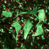 Фото: Нейроны (зелёные) и глиальные клетки (красные), защищающие нейроны и обеспечивающие их кислородом и питательными веществами (C.J.Guerin, PhD, MRC Toxicology Unit).