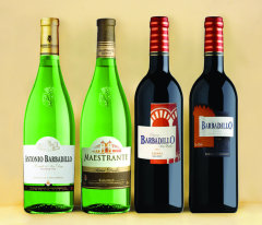 Фото: «ОЛИМП» официальный дистрибьютор испанских вин «Барбадильо» («Barbadillo»).