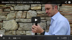 Фото: Как открыть бутылку вина без штопора.