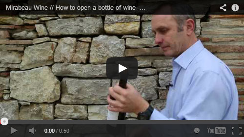 Фото: Как открыть бутылку вина без штопора.