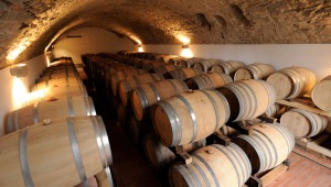 Фото: винодельческий центр Тосканы - Castello di Volpaia